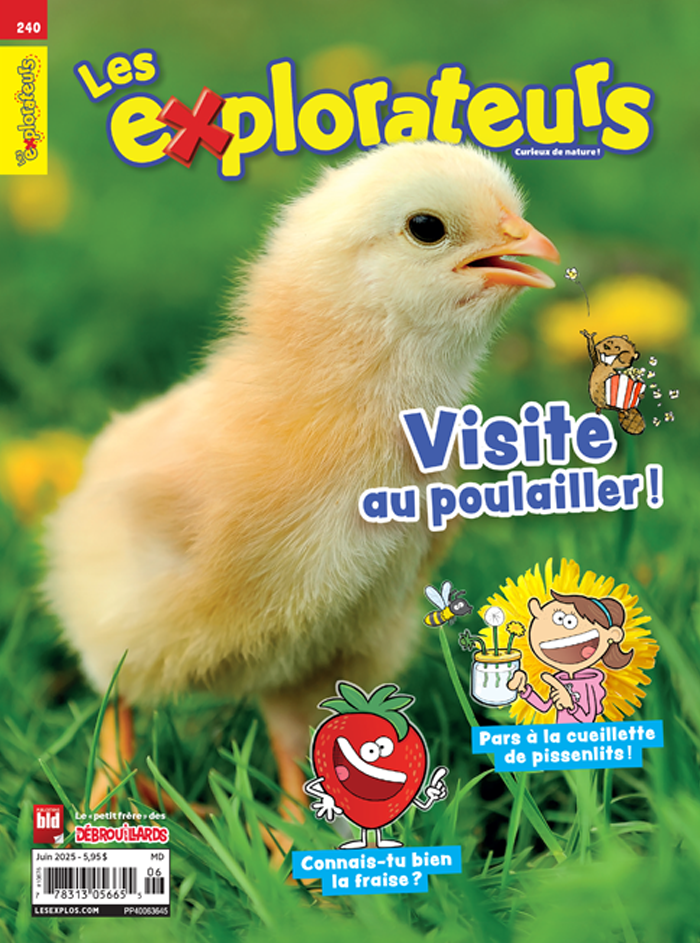 Les Explorateurs