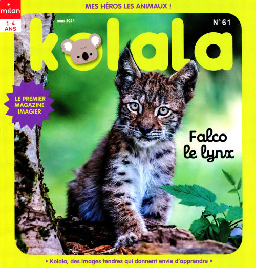 KOLALA #61 - FALCO LE LYNX