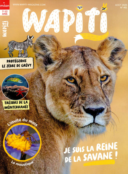 WAPITI #461 - AOUT 2025