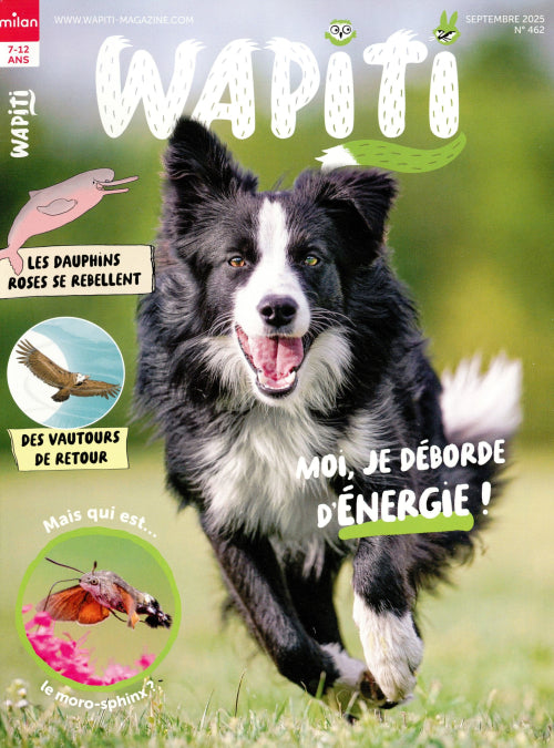 WAPITI #462 - SEPTEMBRE 2025